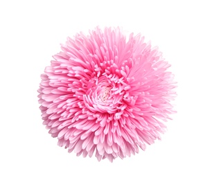 Photo of Beautiful pink aster flower on white background