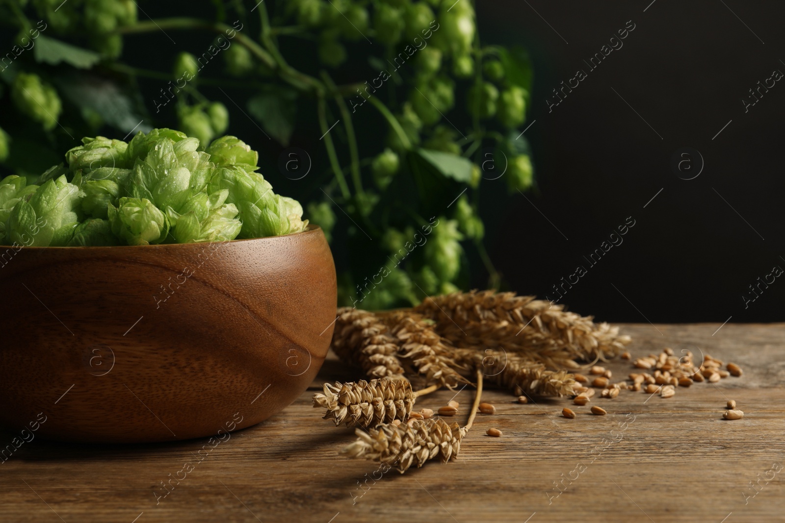 Photo of Fresh green hops, wheat grains and spikes on wooden table, space for text