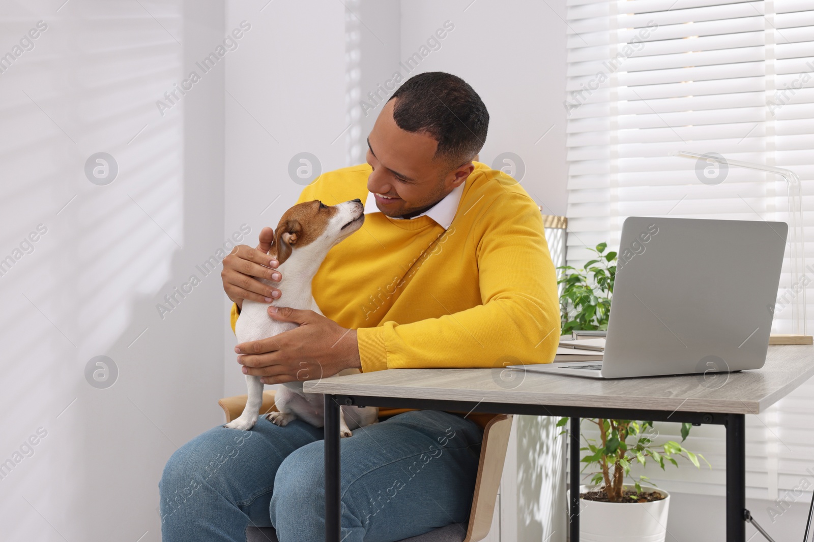 Photo of Young man with Jack Russell Terrier at desk in home office