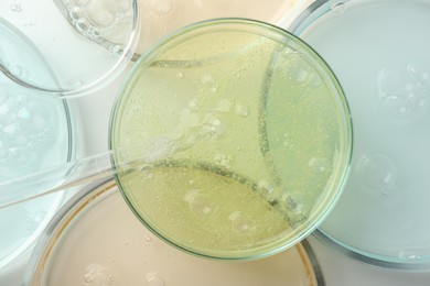 Petri dishes with different liquid samples and pipette on white background, top view