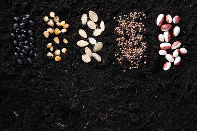 Photo of Different vegetable seeds on fertile soil, flat lay. Space for text
