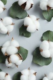 Cotton flowers and eucalyptus leaves on light grey background, flat lay