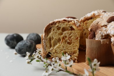 Pieces of delicious Italian Easter dove cake (traditional Colomba di Pasqua), branch with flowers and painted eggs on light grey table, closeup