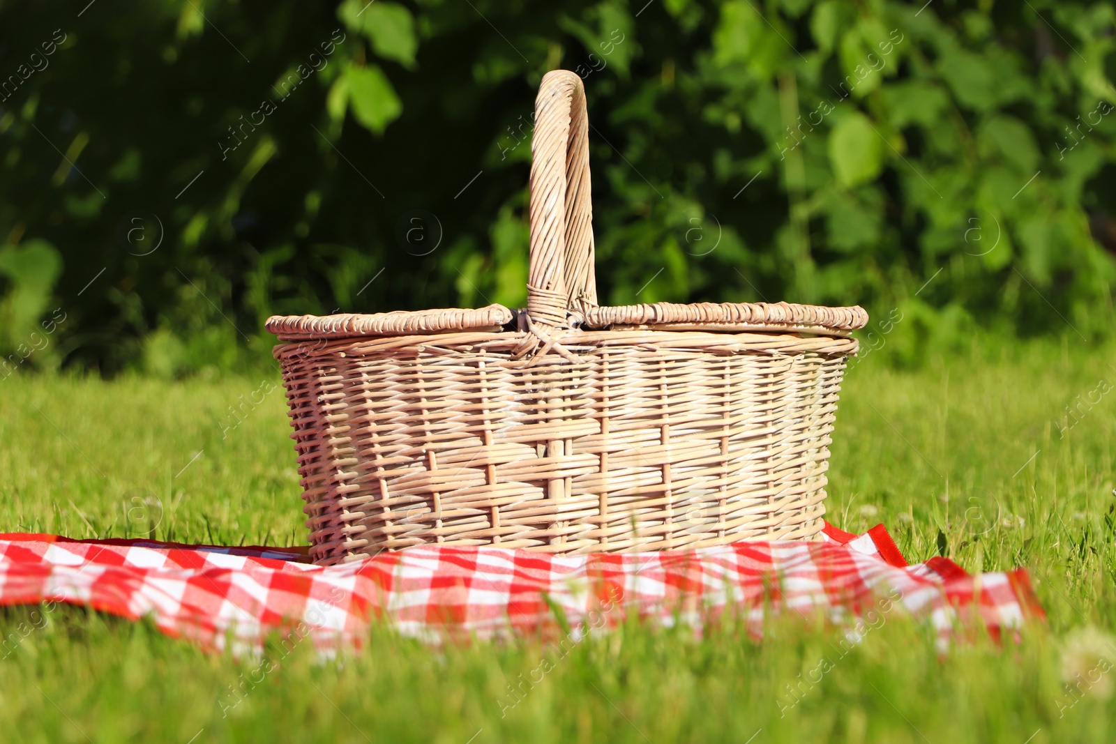 Photo of Picnic basket with checkered tablecloth on green grass outdoors