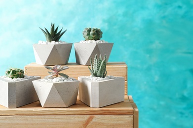 Photo of Beautiful succulent plants in stylish flowerpots on wooden crates against blue background, space for text. Home decor