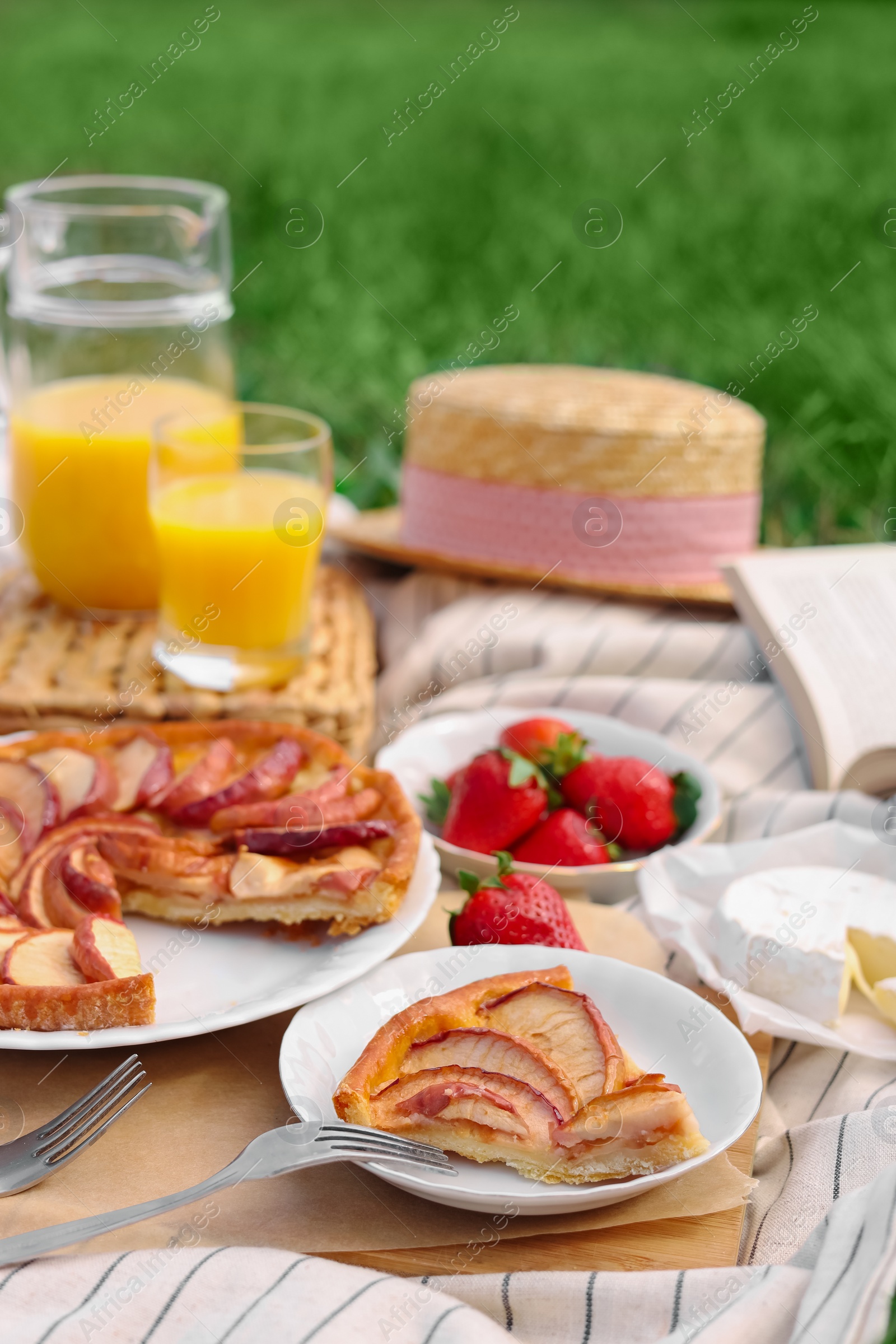 Photo of Apple pie and different products on blanket outdoors. Summer picnic