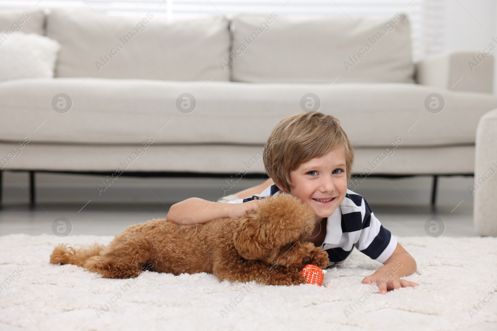 Photo of Little child and cute puppy on carpet at home. Lovely pet