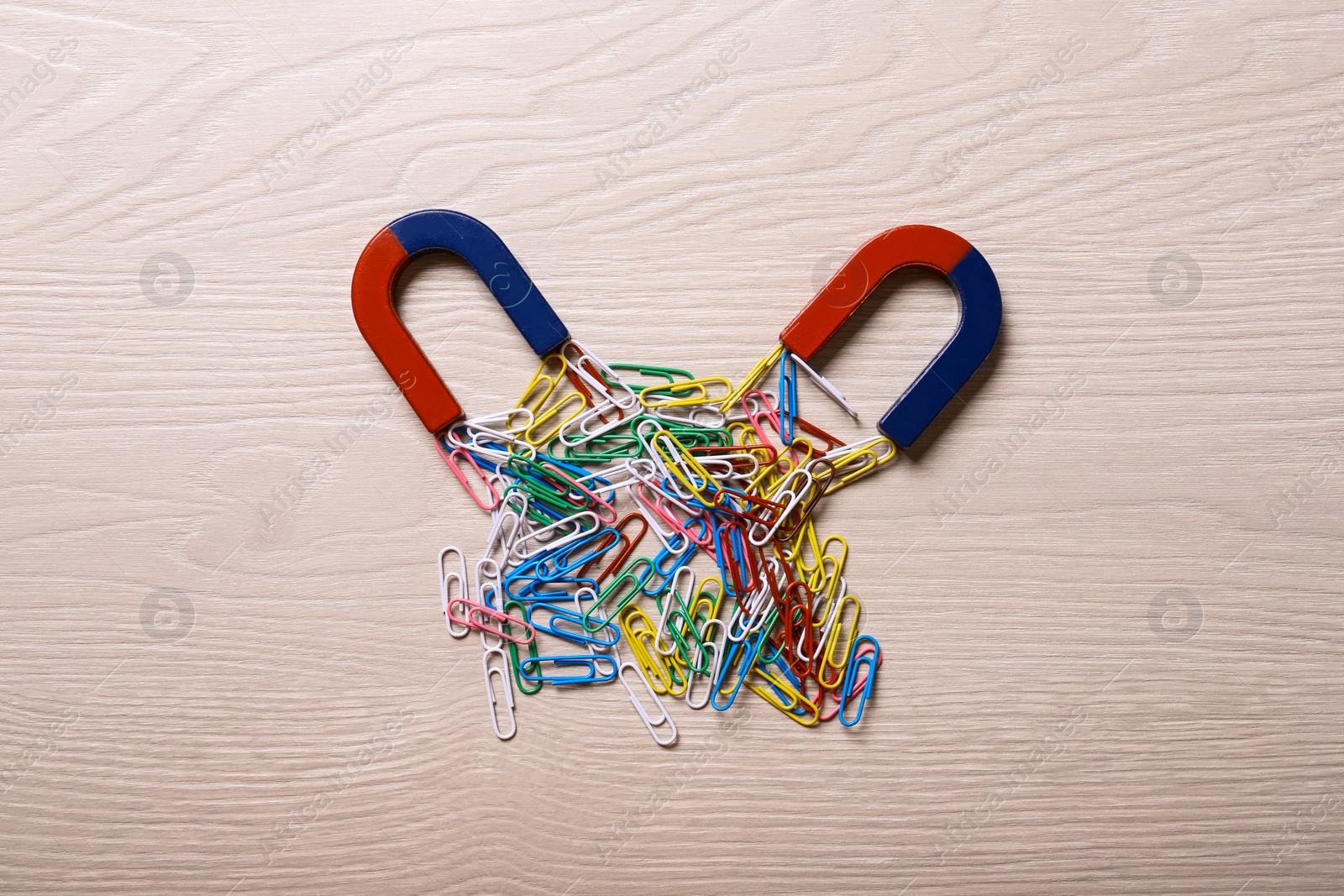 Photo of Magnets attracting colorful paper clips on light wooden background, flat lay