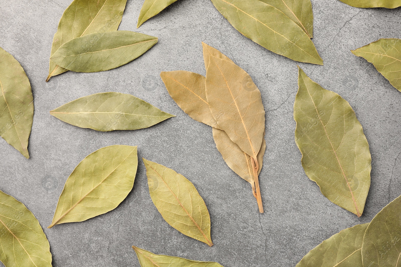 Photo of Aromatic bay leaves on light gray table, flat lay