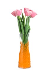 Photo of Orange filler with tulips in glass vase isolated on white. Water beads