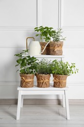 Different aromatic potted herbs and watering can on stand near white wall