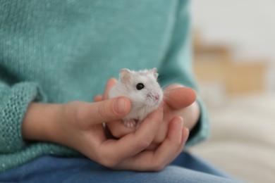 Photo of Little girl with cute hamster at home, closeup