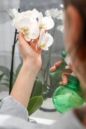 Woman spraying blooming orchid flowers with water near window, closeup