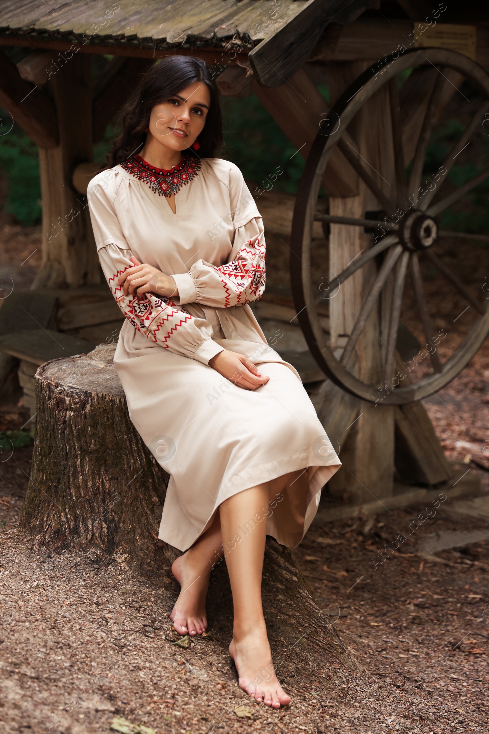 Photo of Beautiful woman wearing embroidered dress sitting near old wooden well in countryside. Ukrainian national clothes