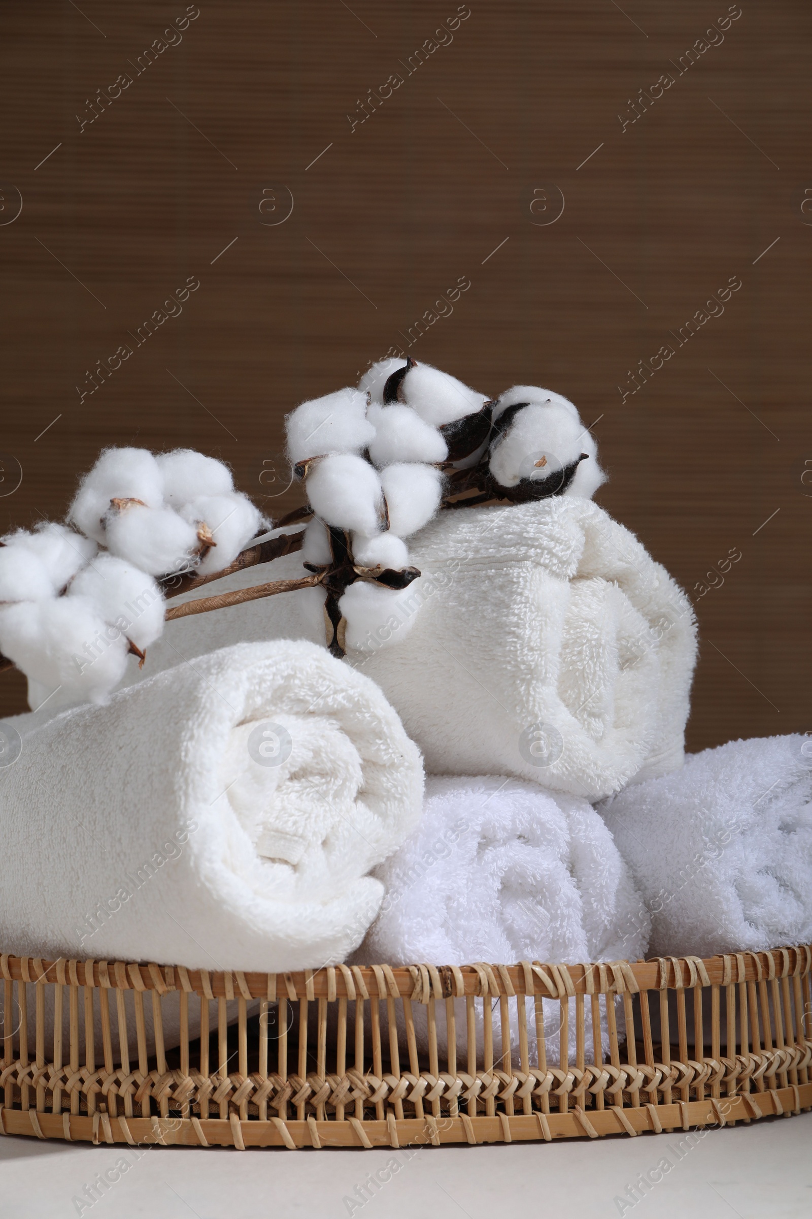 Photo of Rolled soft towels and cotton branch on white table indoors