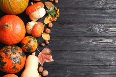 Photo of Flat lay composition with different pumpkins and space for text on wooden background. Autumn holidays