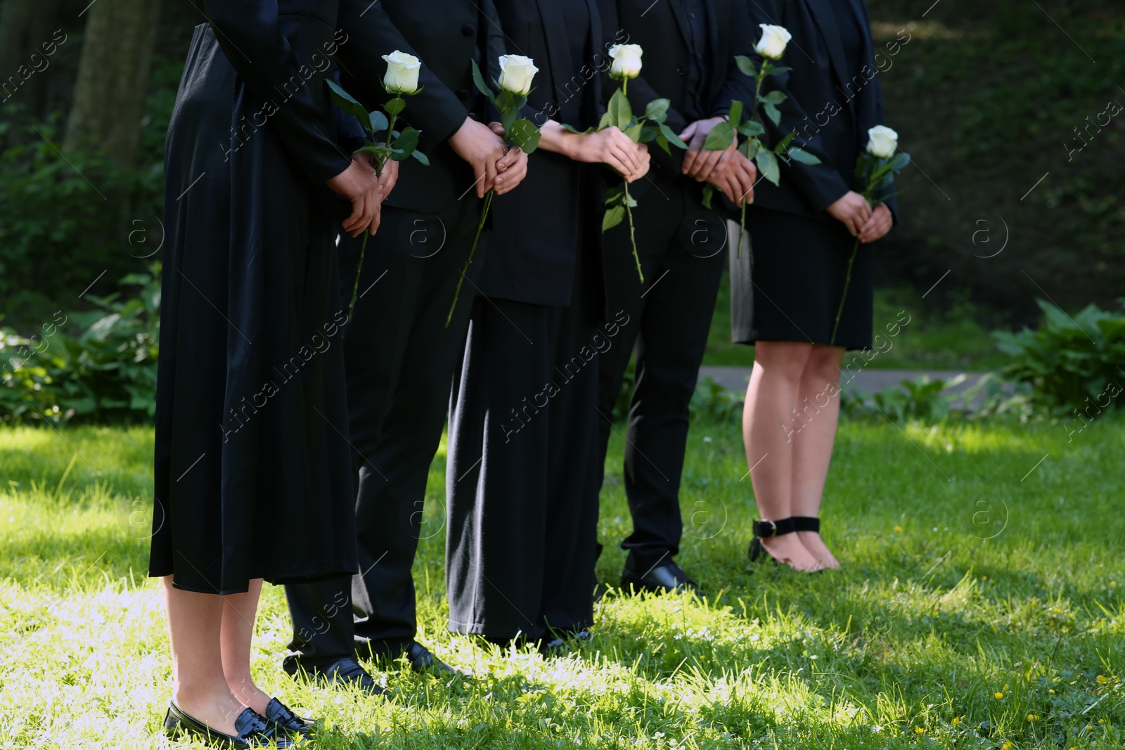 Photo of People in black clothes with white rose flowers outdoors, closeup. Funeral ceremony