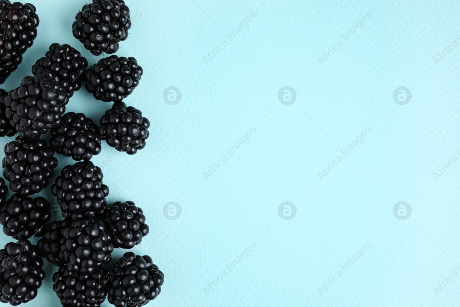 Photo of Tasty ripe blackberries on light blue background, flat lay. Space for text