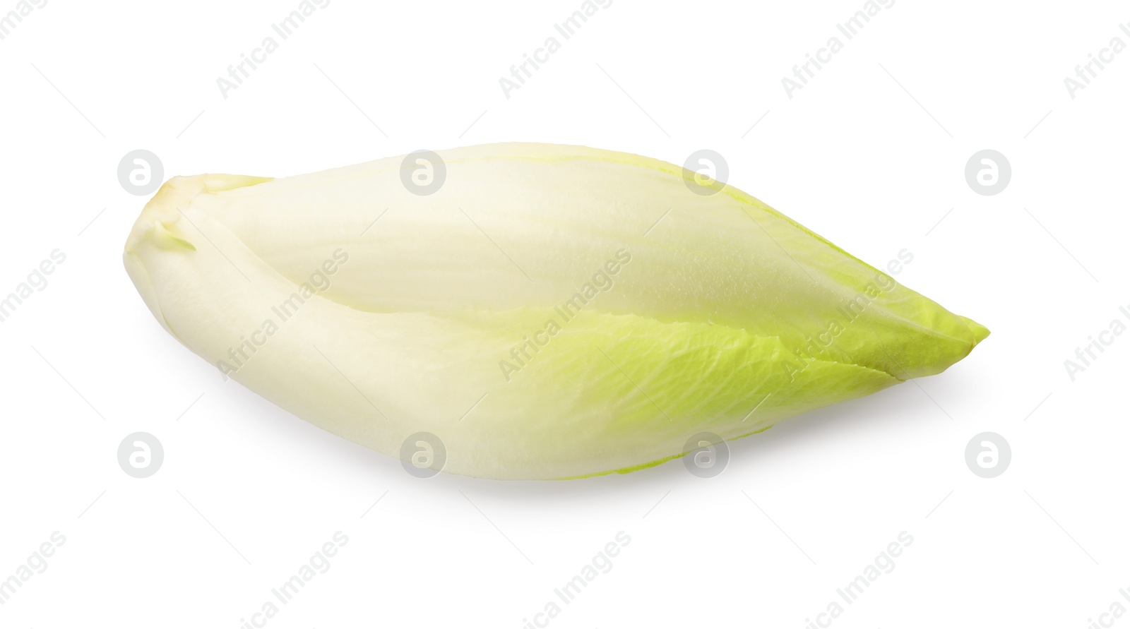 Photo of One raw ripe chicory isolated on white, top view