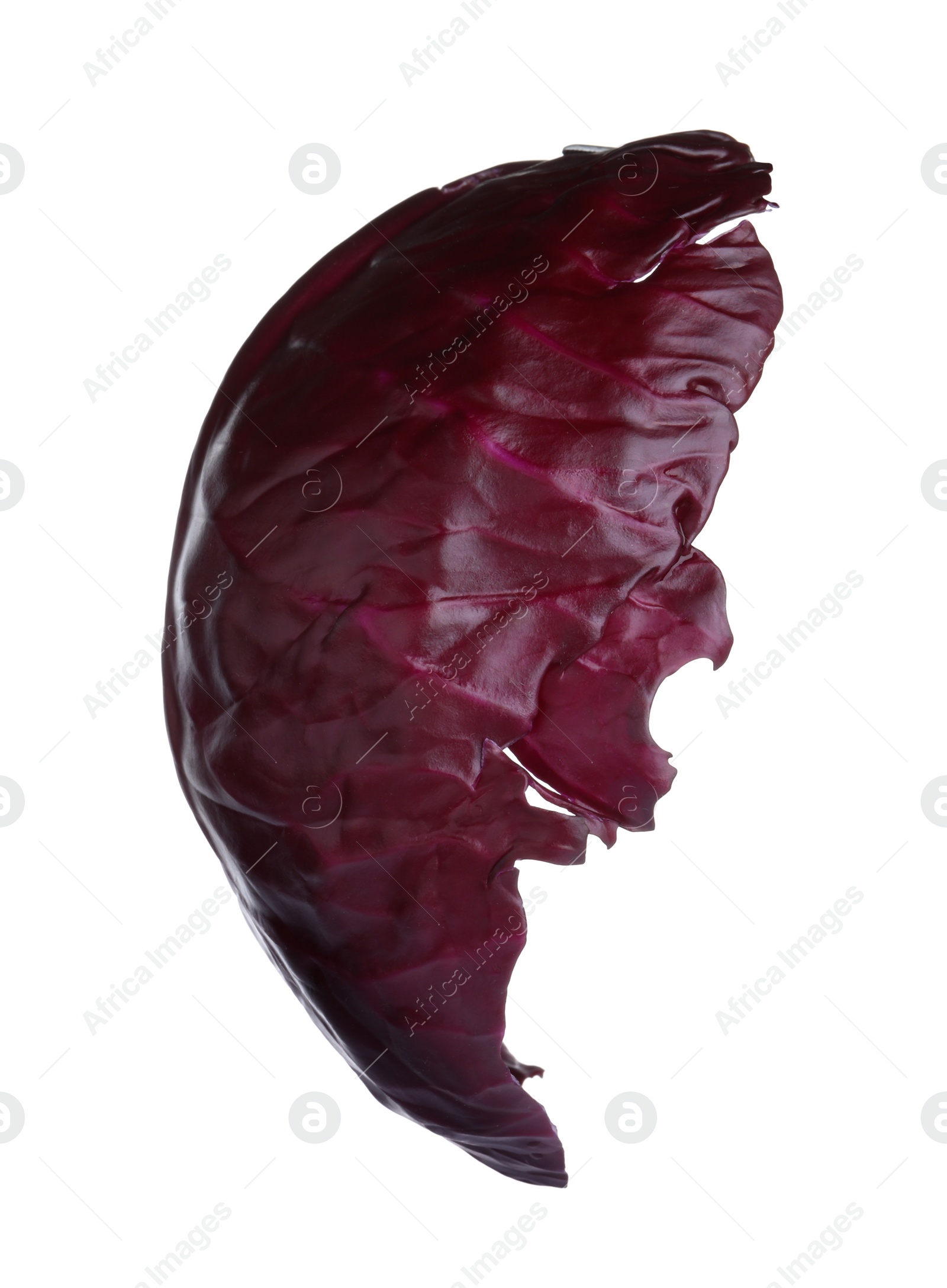 Photo of Leaf of red cabbage isolated on white