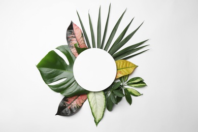 Photo of Beautiful composition with tropical leaves and blank card on white background, top view