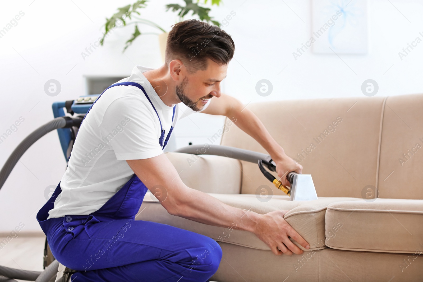 Photo of Dry cleaning worker removing dirt from sofa indoors