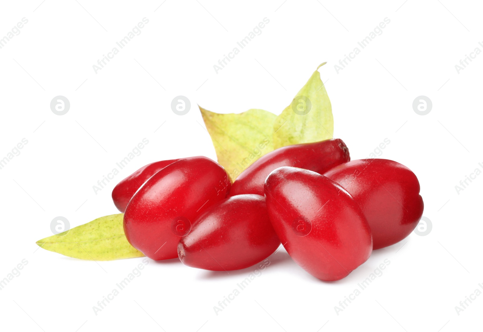 Photo of Pile of fresh ripe dogwood berries on white background