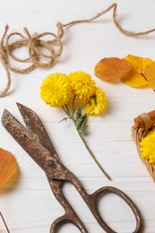 Photo of Composition with scissors, twine and Chrysanthemum flowers on white wooden table