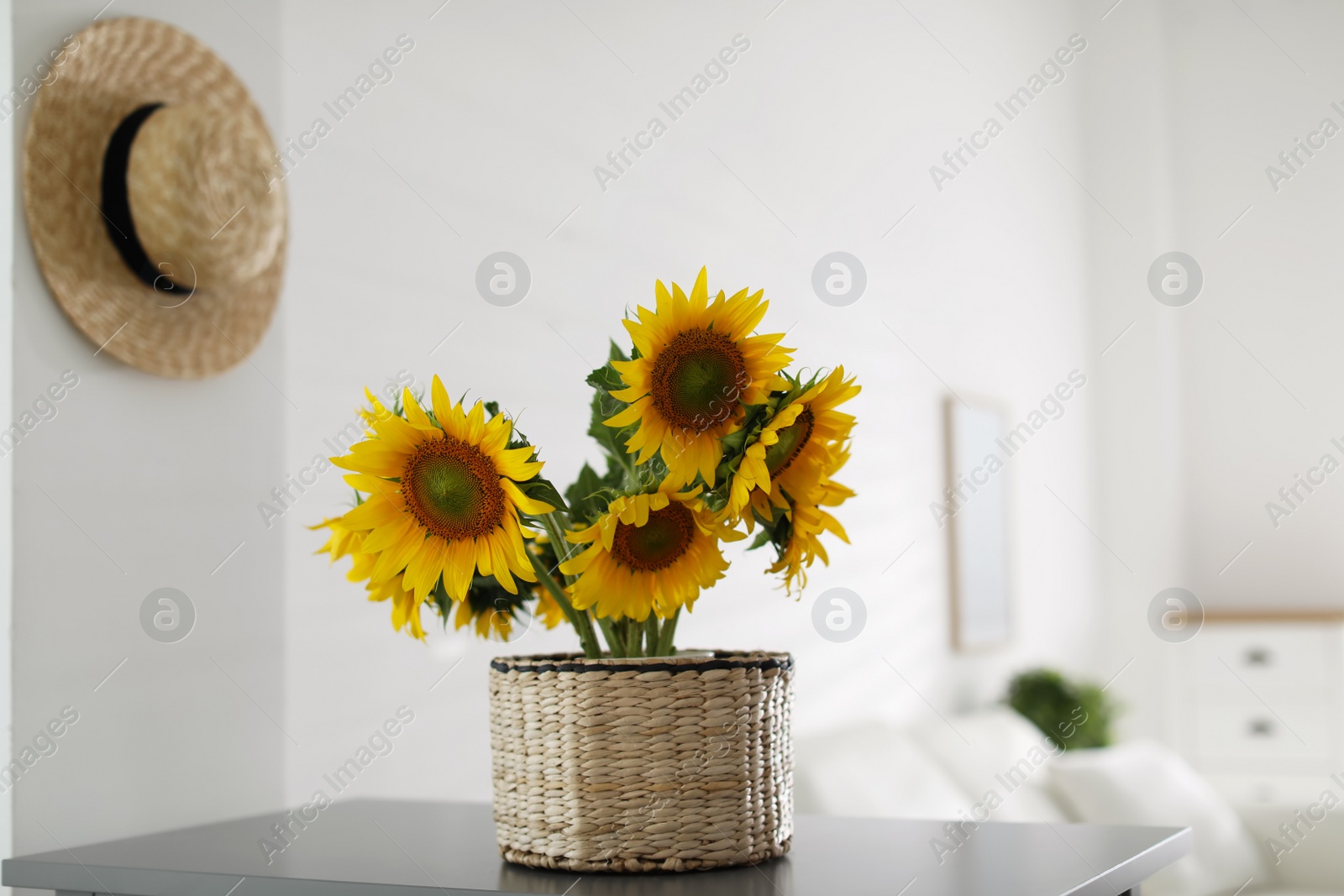 Photo of Beautiful yellow sunflowers on table in room