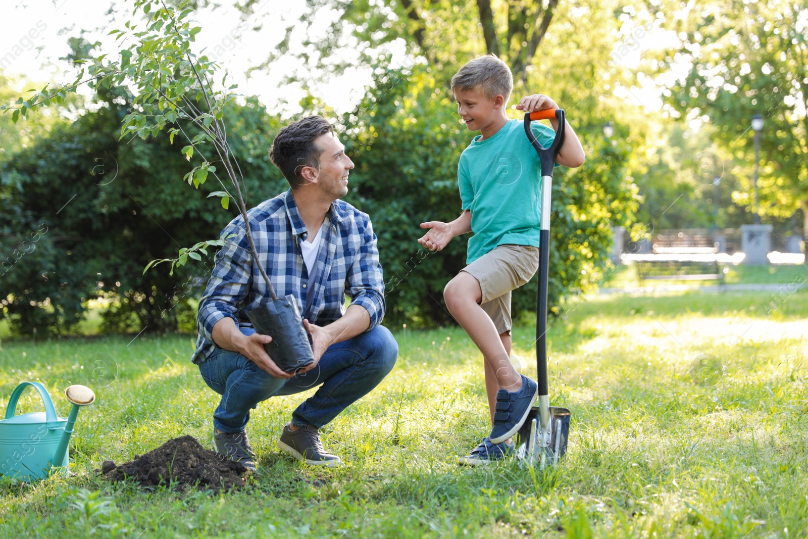 Photo of Dad and son planting tree in park on sunny day