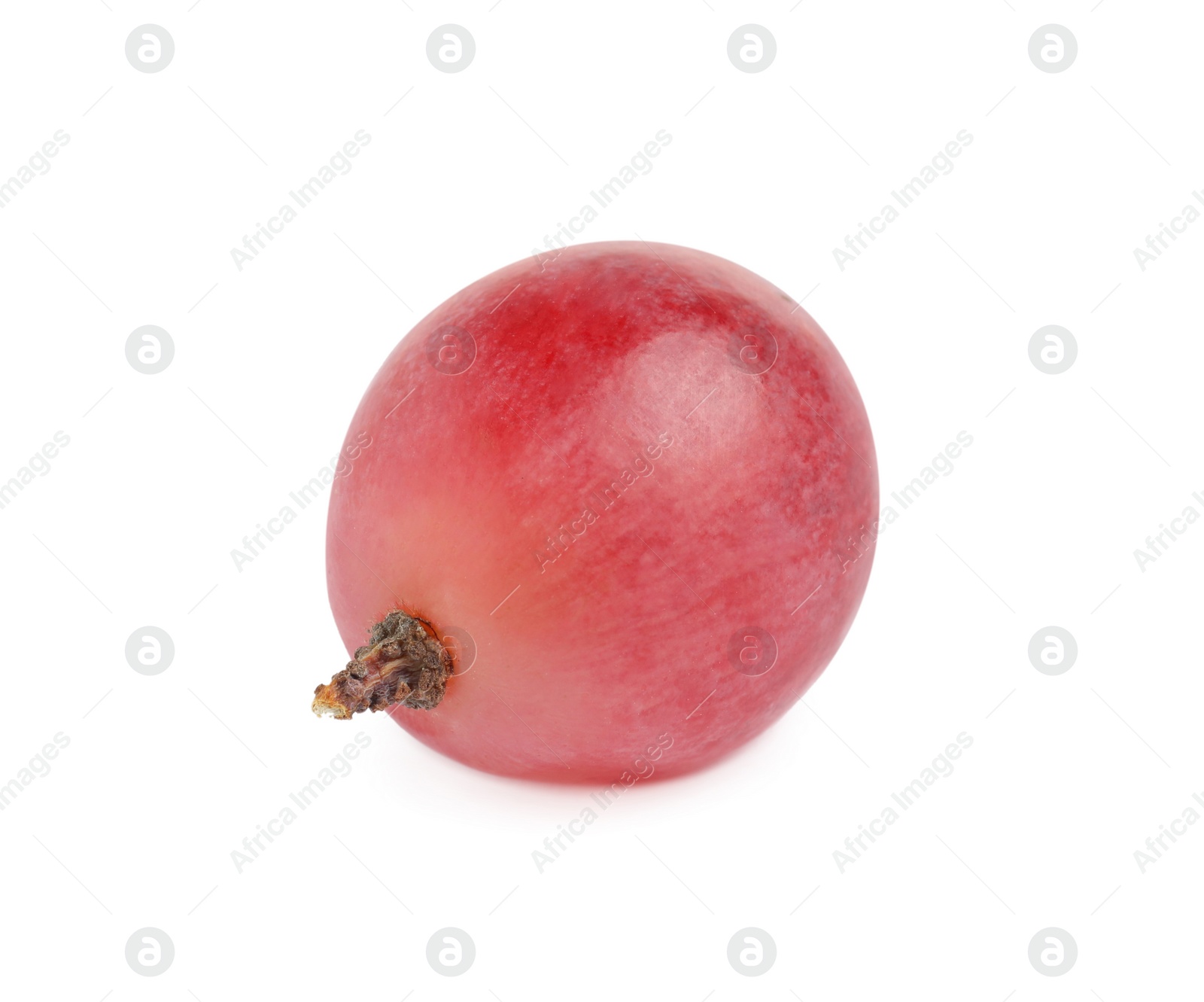 Photo of Delicious ripe red grape isolated on white