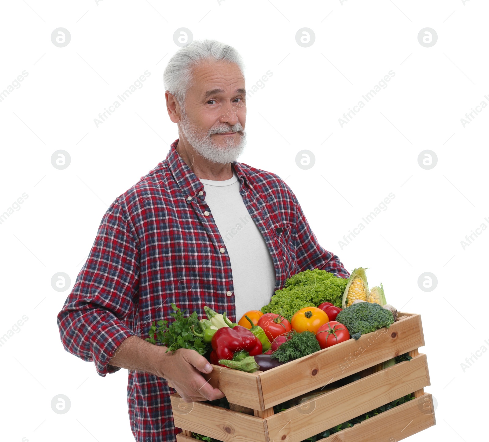 Photo of Harvesting season. Farmer holding wooden crate with vegetables on white background