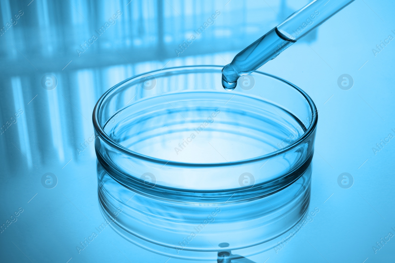 Image of Dropping reagent into Petri dish with liquid on table, toned in blue. Laboratory glassware