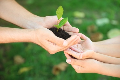 Man passing soil with green plant to his family on blurred background