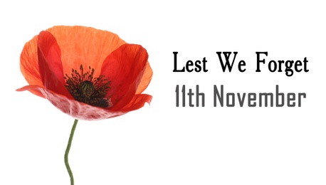 Image of Remembrance day banner. Red poppy flower and text Lest We Forget 11th November on white background