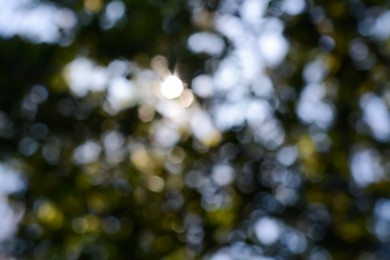 Blurred view of green tree outdoors. Bokeh effect