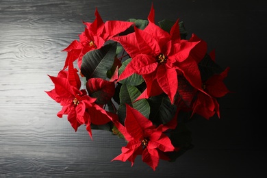 Photo of Poinsettia (traditional Christmas flower) on wooden table, top view