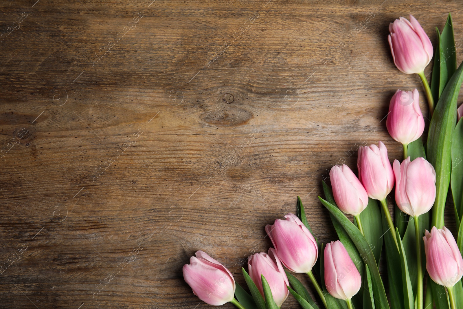 Photo of Beautiful pink spring tulips on wooden background, flat lay. Space for text