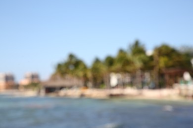 Blurred view of tropical beach on sunny day