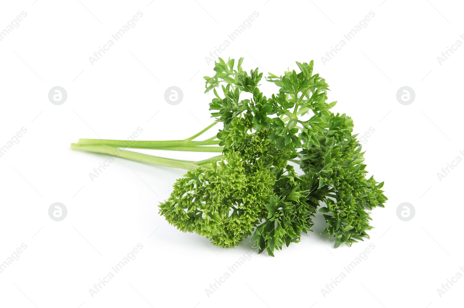 Photo of Fresh green organic parsley on white background