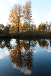 Picturesque view of lake and trees on autumn day