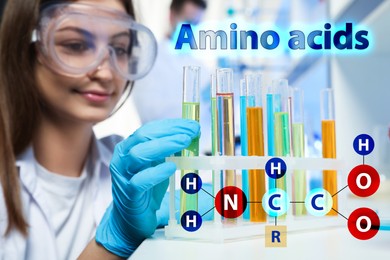 Image of Amino Acids chemical formula, illustration. Scientist taking test tube from rack in laboratory 