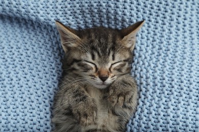 Photo of Cute little kitten sleeping wrapped in light blue knitted blanket, top view