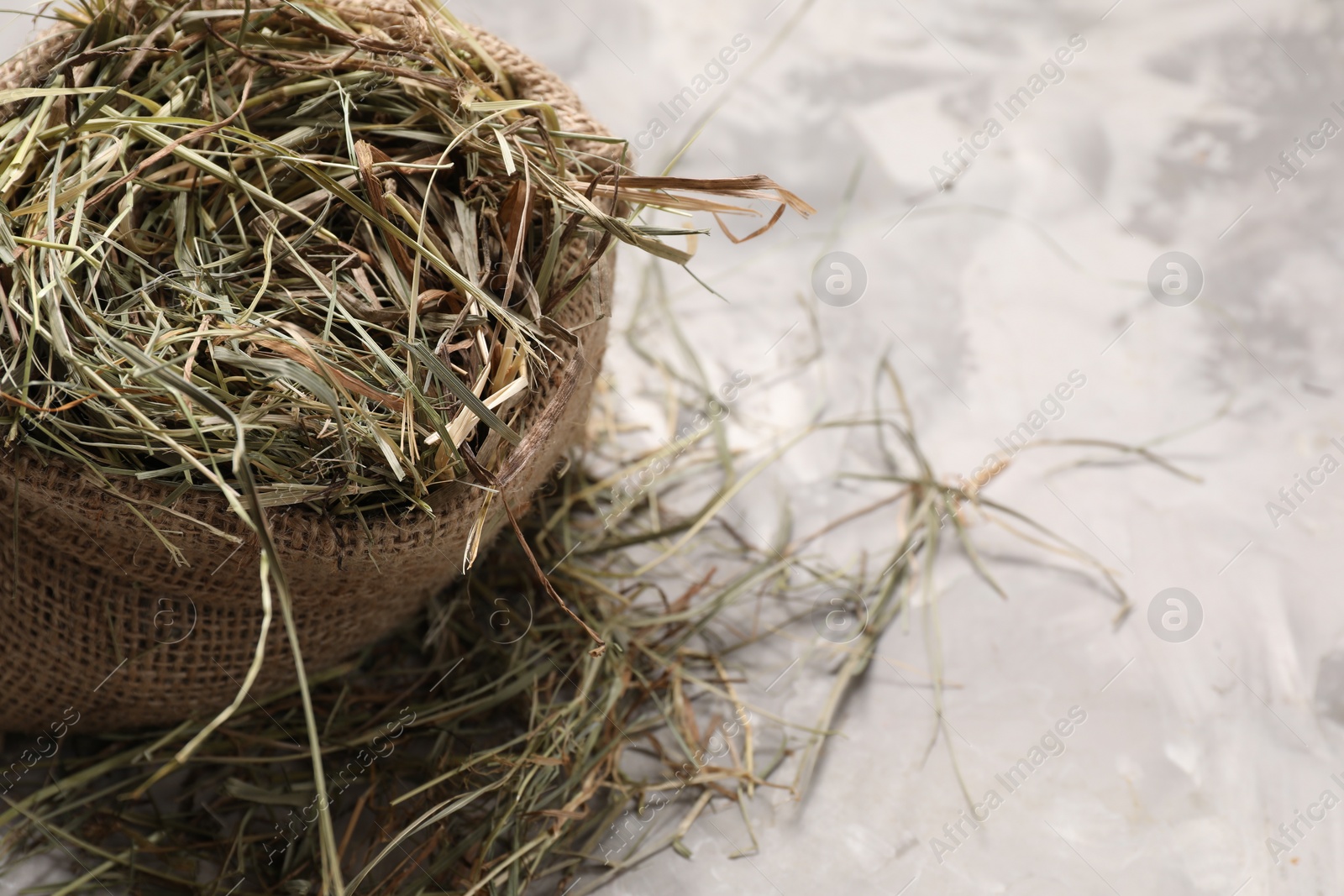 Photo of Dried hay in burlap sack on light grey textured table, above view. Space for text