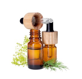 Photo of Bottles of essential oil, pipette and fresh dill isolated on white