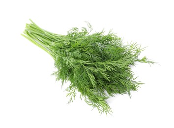 Photo of Fresh green dill branches isolated on white