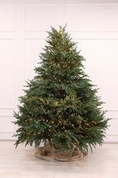 Beautiful Christmas tree decorated with festive lights near white wall indoors