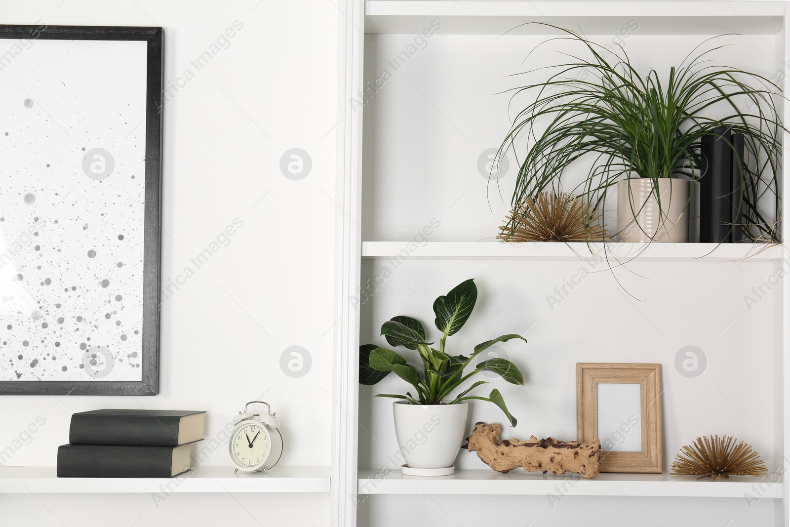 Photo of White shelving unit with houseplants and different decor elements in room. Interior design