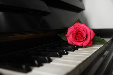 Photo of Beautiful pink rose on piano keys. Romantic music