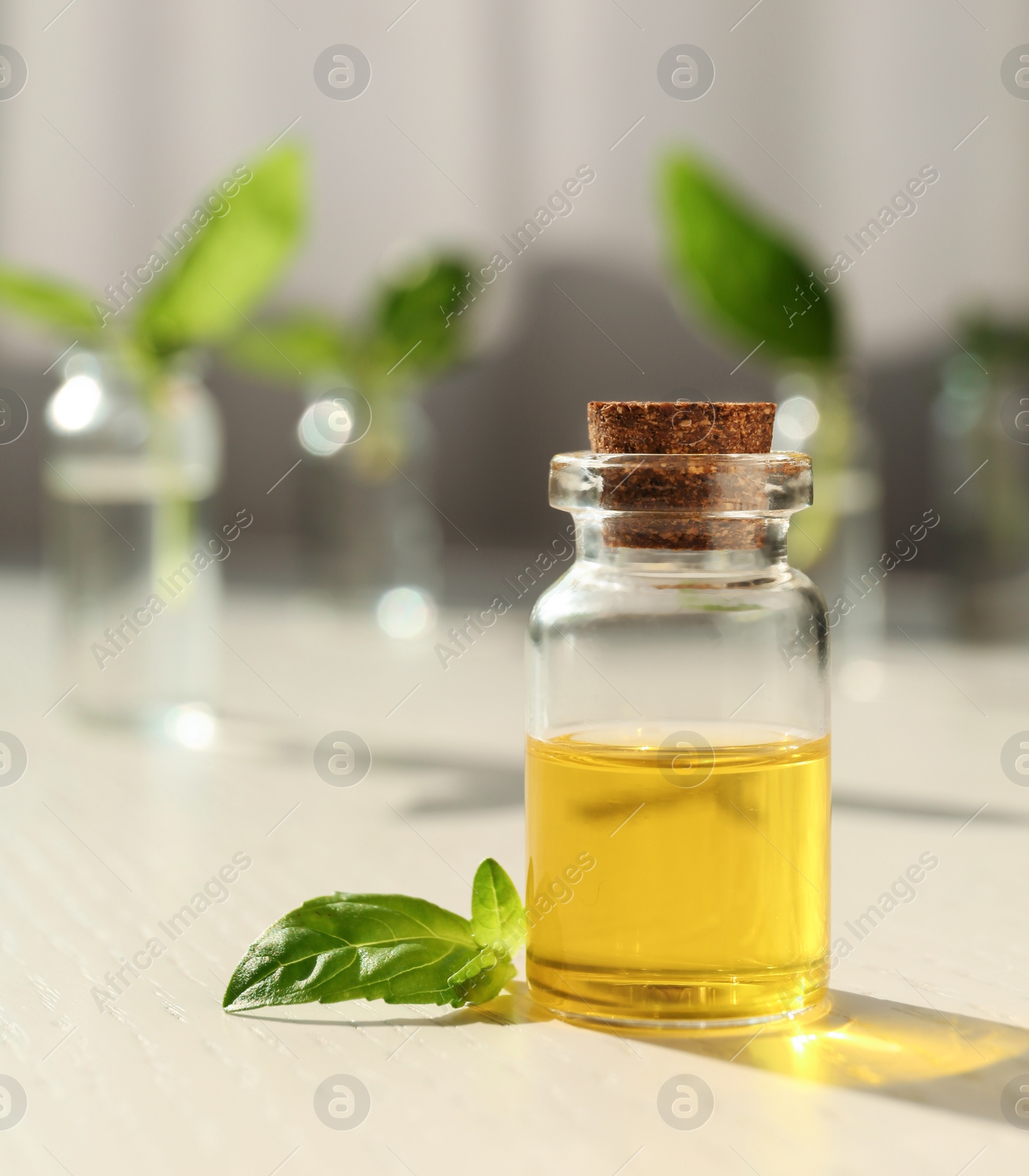 Photo of Bottle of essential basil oil on table against blurred background. Space for text